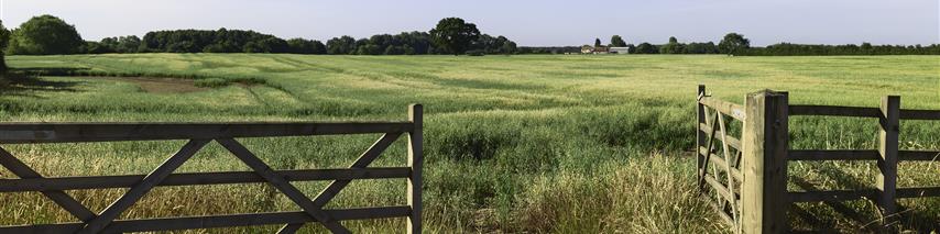 One side of the gate open for someone to access a field on a sunny evening 